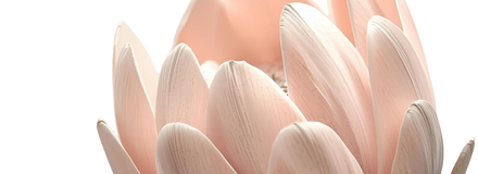 Applecross Counselling in Perth - Flower Header
